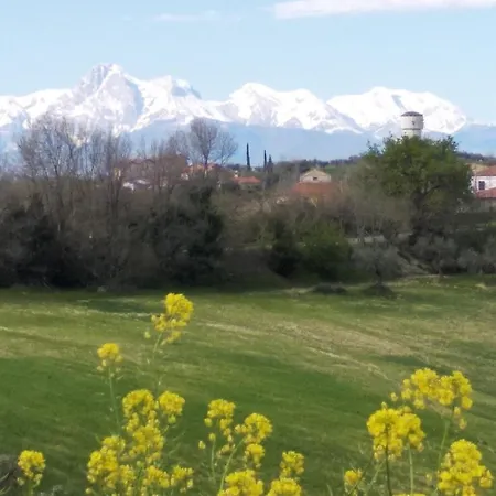 アパート A Pochi Passi Dal Mare Nuovo Con Terrazzo *