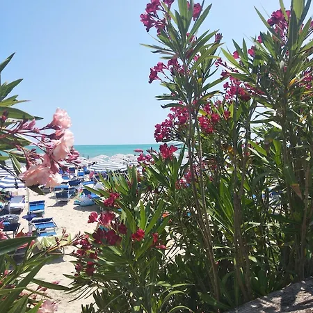 A Pochi Passi Dal Mare Nuovo Con Terrazzo דירה Tortoreto