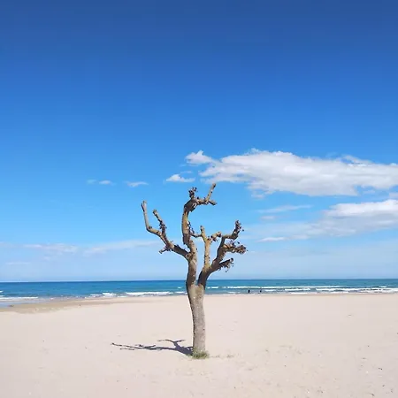 アパート A Pochi Passi Dal Mare Nuovo Con Terrazzo トルトレート