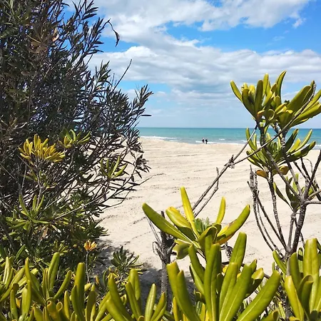 A Pochi Passi Dal Mare Nuovo Con Terrazzo * Tortoreto