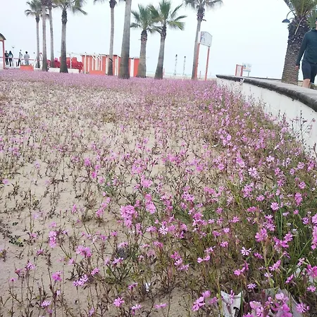 A Pochi Passi Dal Mare Nuovo Con Terrazzo *