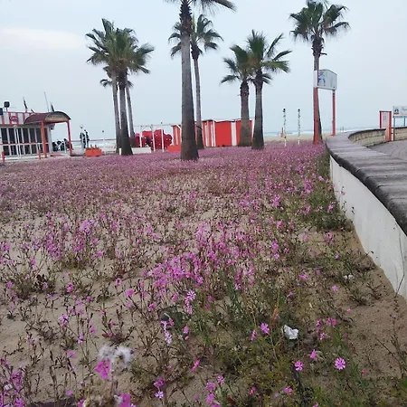 A Pochi Passi Dal Mare Nuovo Con Terrazzo トルトレート