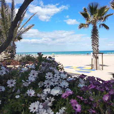 アパート A Pochi Passi Dal Mare Nuovo Con Terrazzo トルトレート