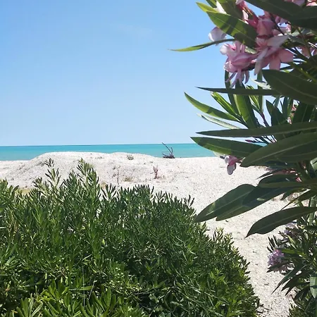 A Pochi Passi Dal Mare Nuovo Con Terrazzo * トルトレート