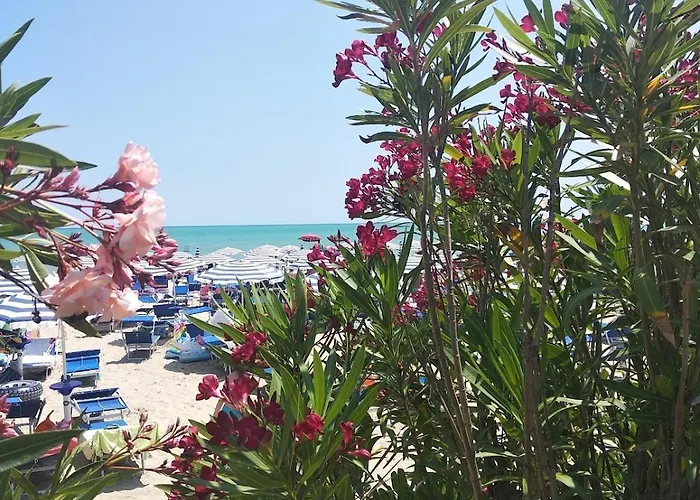 A Pochi Passi Dal Mare Nuovo Con Terrazzo Apartment Tortoreto