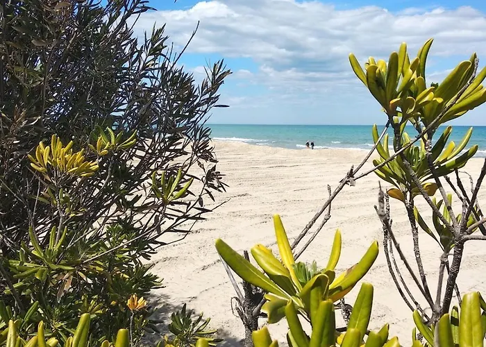 A Pochi Passi Dal Mare Nuovo Con Terrazzo * Tortoreto