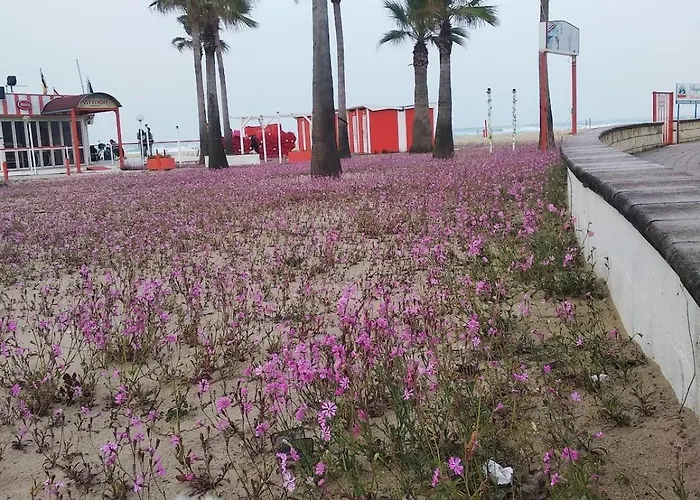 A Pochi Passi Dal Mare Nuovo Con Terrazzo Tortoreto