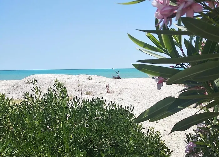 A Pochi Passi Dal Mare Nuovo Con Terrazzo * Tortoreto